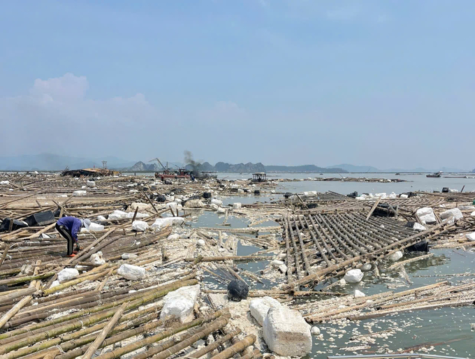 Hoang Tan marine farming area after storm No. 3. Photo: Hoang Anh.