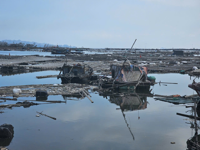 The devastation of Hoang Tan's sea. Photo: Tien Thanh.