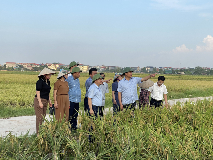 Tích tuyên truyền, vận động nông dân nhanh chóng phục hồi sản xuất, giảm thiểu thiệt hại thấp nhất có thể. 