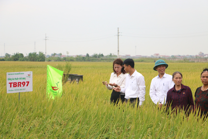 Mô hình đem lại hiệu quả kinh tế cao, bảo vệ môi trường và sức khỏe bà con. Ảnh: Hoài Thơ. 