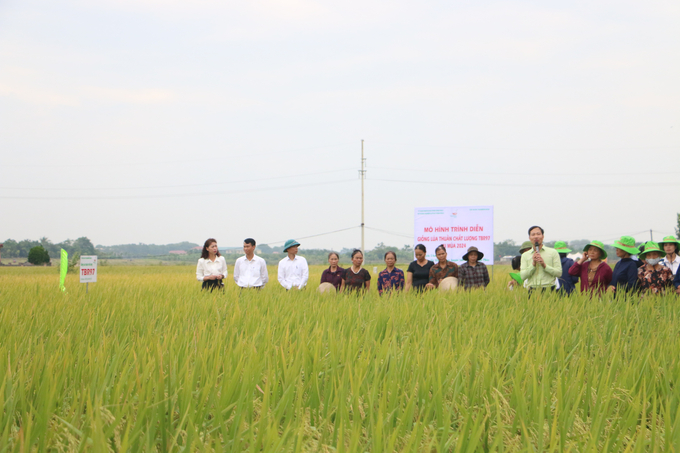 Các đại biểu cùng bà con nông dân tham quan mô hình thử nghiệm TBR97 trên diện tích 5ha tại xã Yên Phương. Ảnh: Hoài Thơ. 