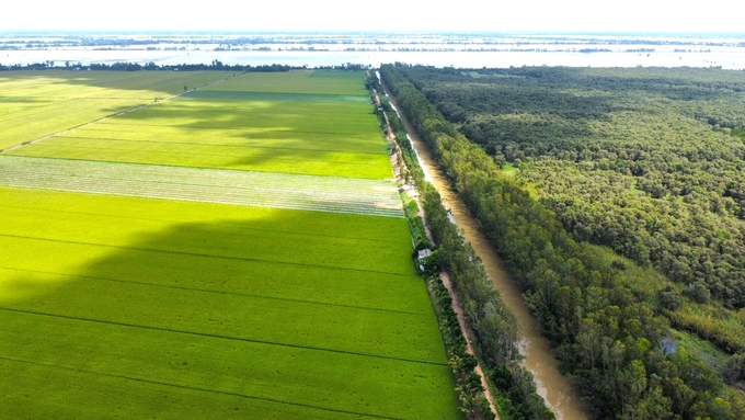 From a high vantage point, the difference between the dike-enclosed and non-enclosed production areas in Dong Thap province is clearly visible. Photo: Kim Anh.