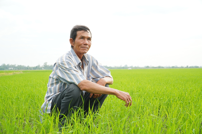 Farmer Doan Van Nam from Hamlet 3, Sa Rai Town, Tan Hong District, Dong Thap Province is disheartened by the increasing prevalence of wild rice. Photo: Kim Anh.