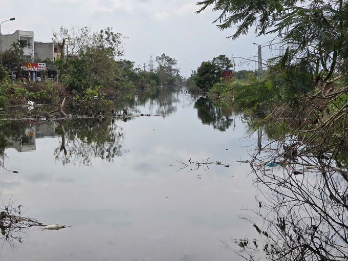 A canal changed color after the storm in Dong Thai commune, An Duong district. Photo: Dinh Muoi.