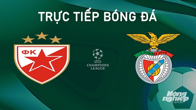 Trực tiếp bóng đá giữa Crvena zvezda vs Benfica hôm nay 19/9/2024