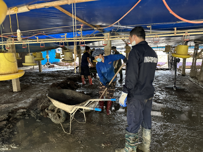 Nguyen Van Nghi's chicken farm clears the mud after the flood. Photo: Quang Linh.