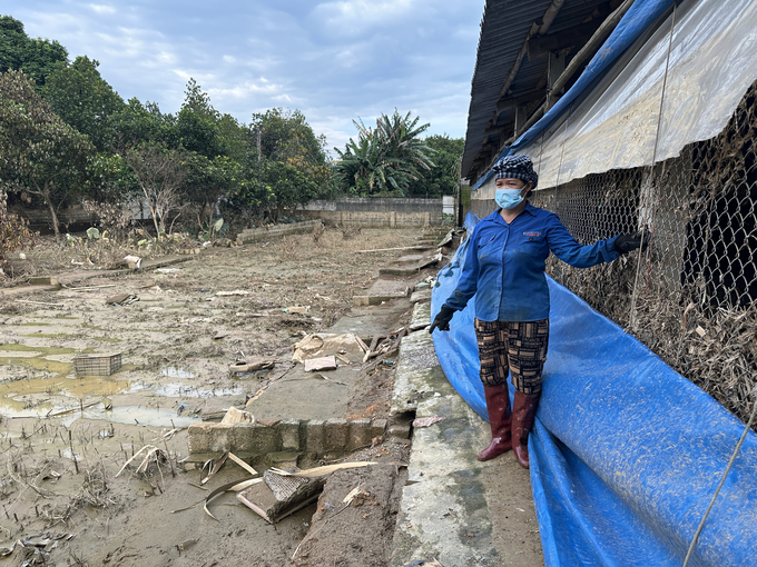 Floods destroyed the wall of Nguyen Van Nghi's chicken farm. Photo: Quang Linh.