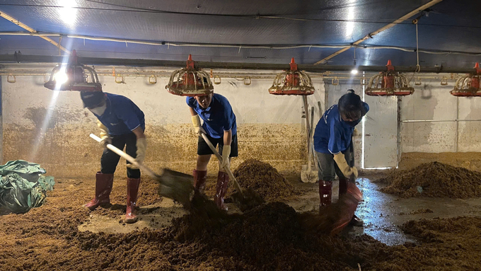 Students from Thai Nguyen University of Agriculture and Forestry help people clean up their farms. Photo: Quang Linh.