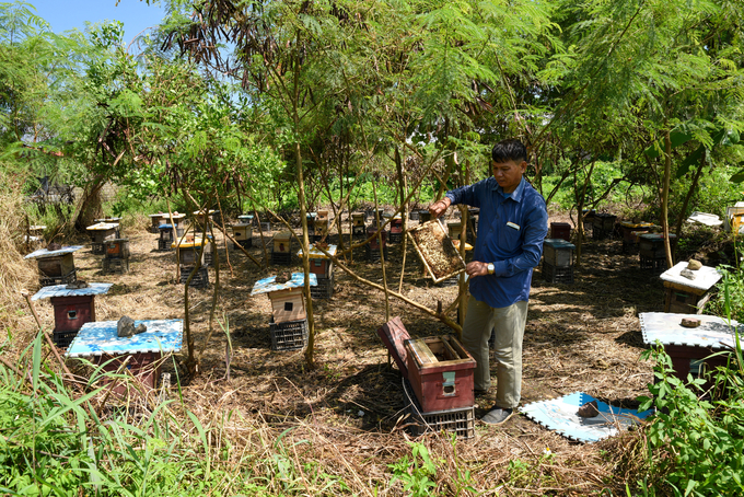 Even though the hives are placed under the shade of trees, additional covering is needed to keep them cool. Photo: Duong Dinh Tuong.