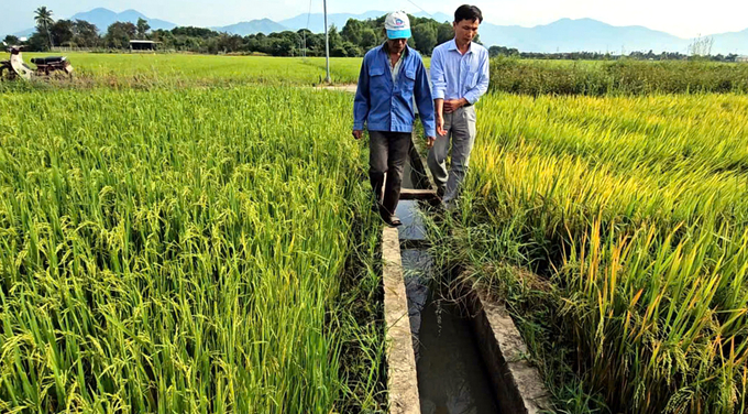 Nông dân chung tay thu gom rác thải thuốc BVTV giúp đồng ruộng xanh, sạch, đẹp. Ảnh: KS.