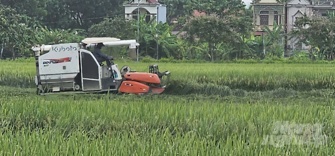 Nhiều địa phương đẩy nhanh tiến độ thu hoạch lúa hè thu. Ảnh: Quốc Toản.