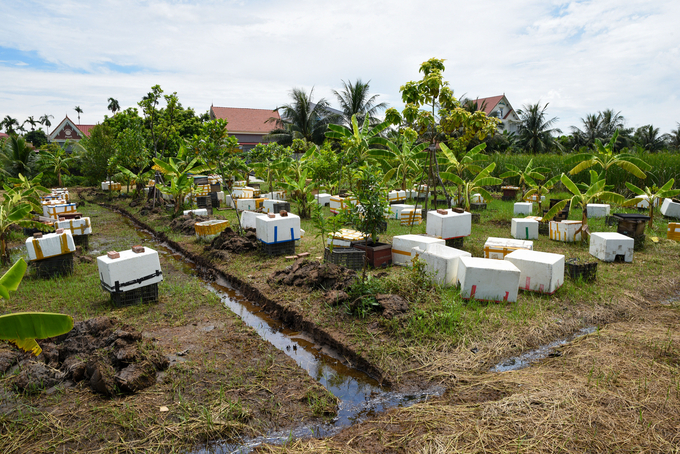 Beehives are covered with foam to protect against heat. Photo: Duong Dinh Tuong.