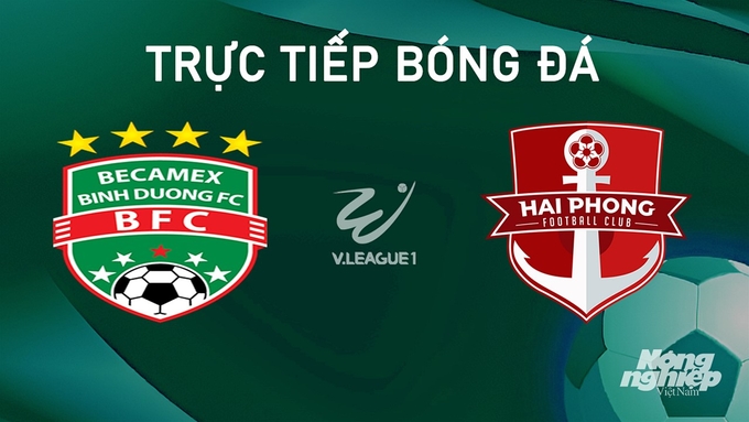 Trực tiếp bóng đá V-League 2024/25 giữa Bình Dương vs Hải Phòng hôm nay 21/9/2024