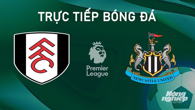 Trực tiếp bóng đá Ngoại hạng Anh giữa Fulham vs Newcastle United hôm nay 21/9/2024