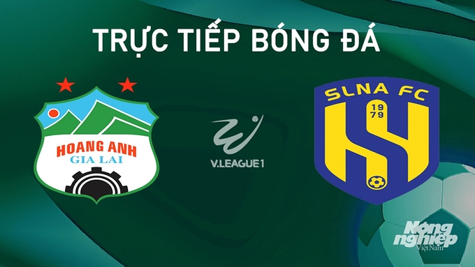 Trực tiếp bóng đá V-League 2024/25 giữa HAGL vs SLNA hôm nay 21/9/2024