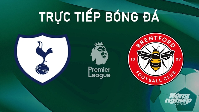 Trực tiếp bóng đá Ngoại hạng Anh giữa Tottenham vs Brentford hôm nay 21/9/2024