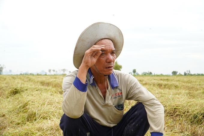 Ông Nguyễn Văn Lợi ở ấp 3, xã Ba Sao (huyện Cao Lãnh) buồn rầu vì năng suất lúa thu hoạch đạt thấp. Ảnh: Kim Anh.