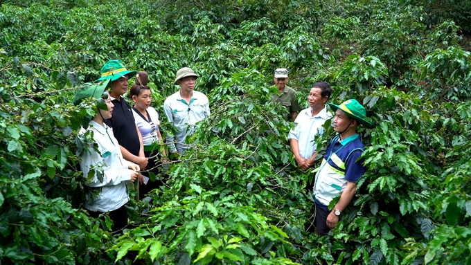 Không thể phủ nhận những vai trò và đóng góp tích cực của khuyến nông cộng đồng thời gian qua. Ảnh: HA.