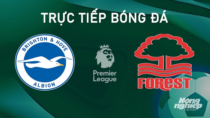 Trực tiếp bóng đá Ngoại hạng Anh giữa Brighton vs Nottingham Forest hôm nay 22/9/2024