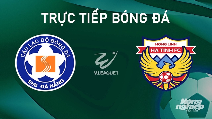 Trực tiếp bóng đá V-League 2024/25 giữa Đà Nẵng vs Hà Tĩnh hôm nay 22/9/2024