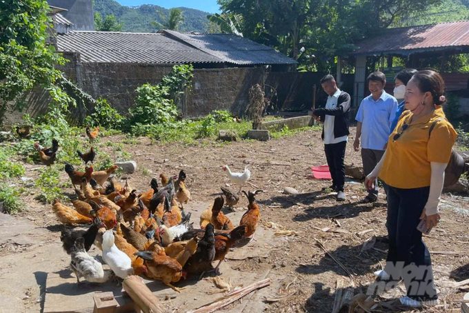 Mô hình nuôi gà bản địa theo hướng an toàn sinh học giúp đồng bào thay đổi phương thức chăn nuôi. Ảnh: Võ Dũng.