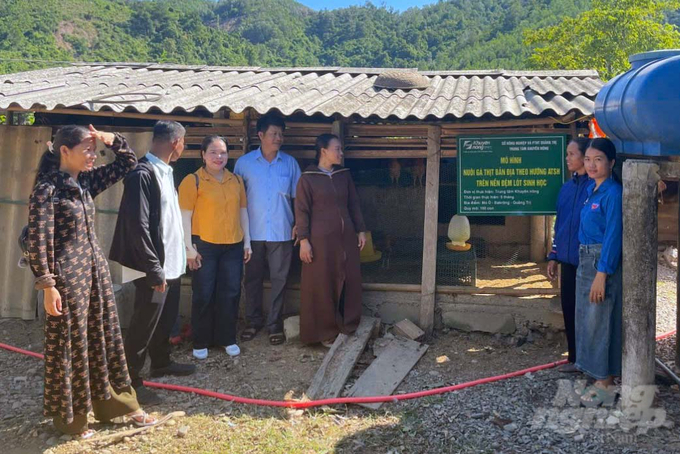 Hộ chăn nuôi thực hiện mô hình chỉ phải đối ứng chuồng nuôi, 100% giống và vật tư đầu vào được hỗ trợ. Ảnh: Võ Dũng.