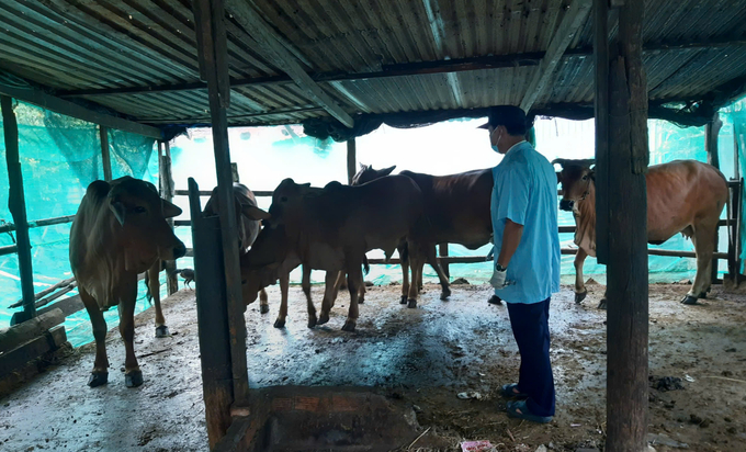 Veterinary officers at the grassroots level are often exposed to waste and rotting dead animals. Photo: KS.