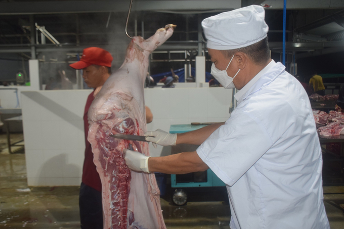 Veterinary staff in charge of slaughter control at the An Nhon concentrated animal slaughterhouse have to work all night. Photo: V.D.T.