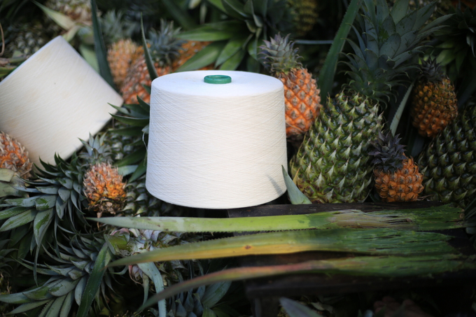 Finished fiber produced from pineapple leaves.