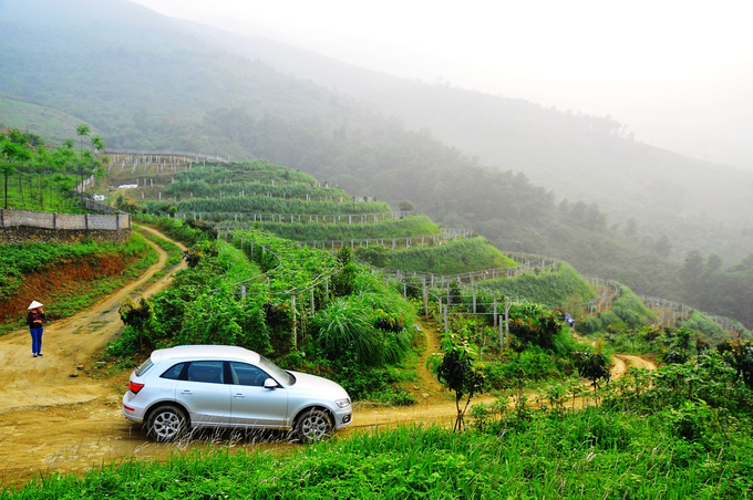 A corner of Hoa Vien Farm. Photo: VAN.