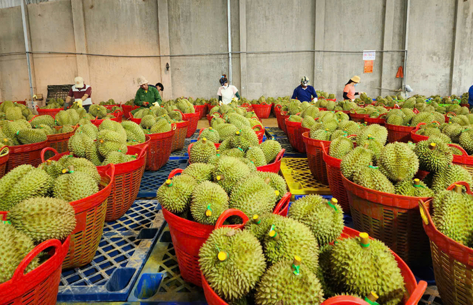 Dak Lak encourages investors to visit the province. Photo: Quang Yen.