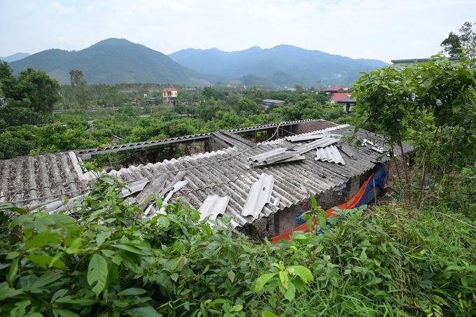 Một chuồng gà bị hư hỏng của gia đình bà Oanh. Ảnh: Tùng Đinh.