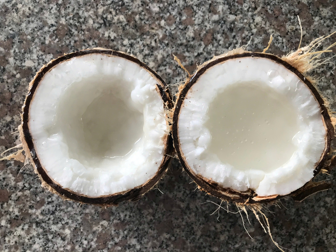 Wax coconut holds immense potential to evolve into a distinct and competitive product line for Tra Vinh province. Photo: Minh Dam.