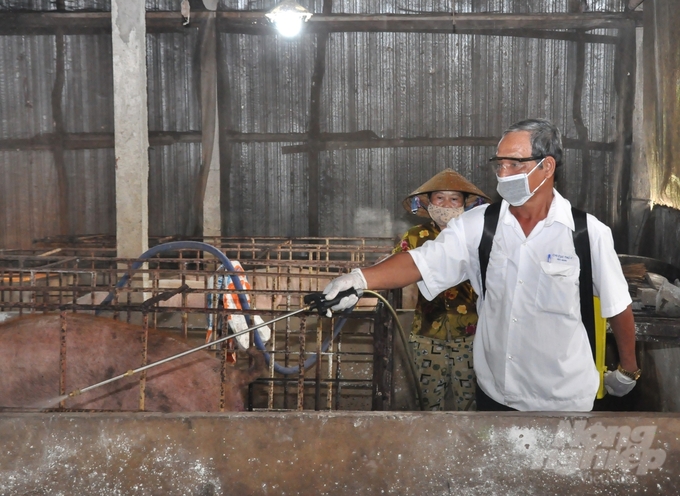 Veterinary staff of Vi Tan commune, Vi Thanh city, Hau Giang province spray disinfectants on barns and livestock areas of households, improving the efficiency of disease prevention measures. Photo: Trung Chanh.