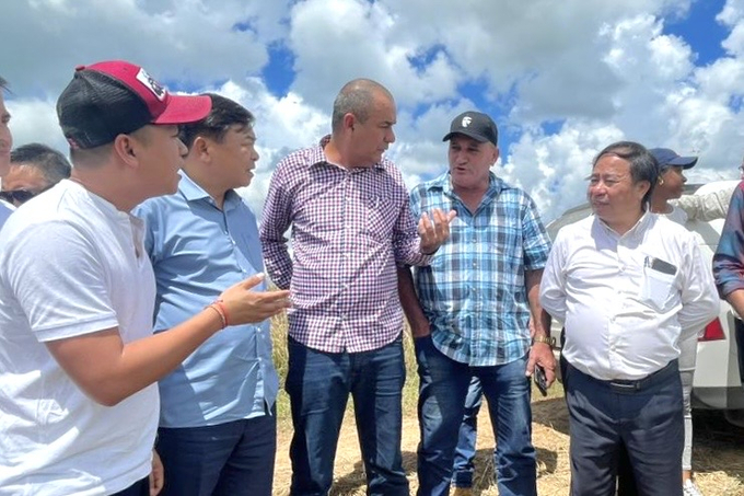 Cuban Minister of Agriculture Ydael Pérez Brito (third from right) and Deputy Minister Nguyen Hoang Hiep (second from left) visit rice fields in Cuba. Photo: ICD.