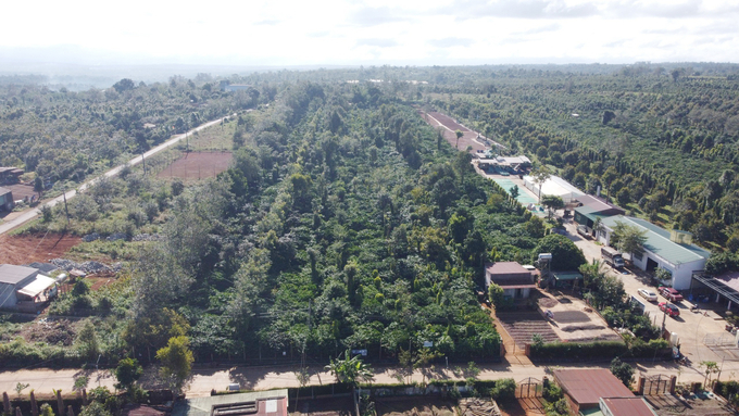 Dak Lak Province, with its extensive agricultural area and multiple renowned agricultural products nationwide, has prompted its local governments to promote investment in deep processing. Photo: Quang Yen.