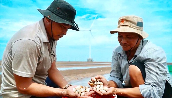 Production and processing techniques are important factors for clams to maintain quality and ensure export requirements. Photo: Kim Anh.