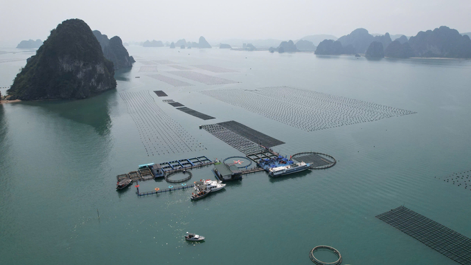 Van Don Sea 'before the storm. Photo: Nguyen Thanh.