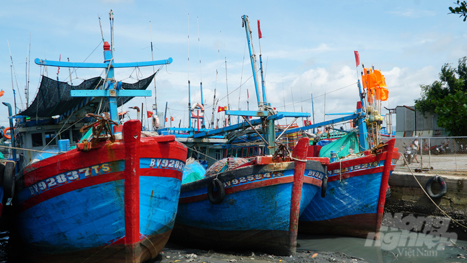 100% tàu cá chưa đủ điều kiện sẽ không được xuất bến và chủ tàu cá, các thành viên sẽ phải chịu trách nhiệm hình sự nếu cố tình vươn khơi. Ảnh: Lê Bình.