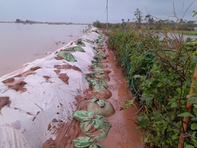 A spill incident occurred at a canal bank of Bac Hung Hai river in Thanh Mien district, Hai Duong province. The local '4 on-site' force promptly reinforced the canal bank to ensure safety. Photo: Ngoc Thanh.