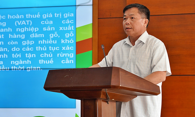 Deputy Director of the Department of Forestry Trieu Van Luc providing a report on the nationwide forest damage caused by Typhoon No. 3. Photo: Bao Thang.