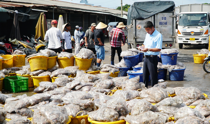 Staffs at a fishing port inspecting the recently unloaded seafood. Photo: Le Binh.