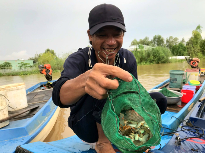 Storing natural fish helps farmers increase income on the same unit of land. Photo: Kim Anh.