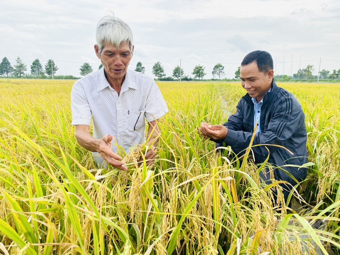 Nông dân TP Cần Thơ hào hứng tham gia Đề án 1 triệu ha lúa chất lượng cao. Ảnh: Lê Hoàng Vũ.