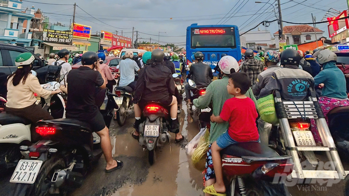 Đa dạng hóa kích thước xe buýt để phù hợp với từng tuyến đường, đang là giải pháp đang được xem xét để giảm tình trạng ùn tắc giao thông vào giờ cao điểm tại TP.HCM. Ảnh: Trần Phi.