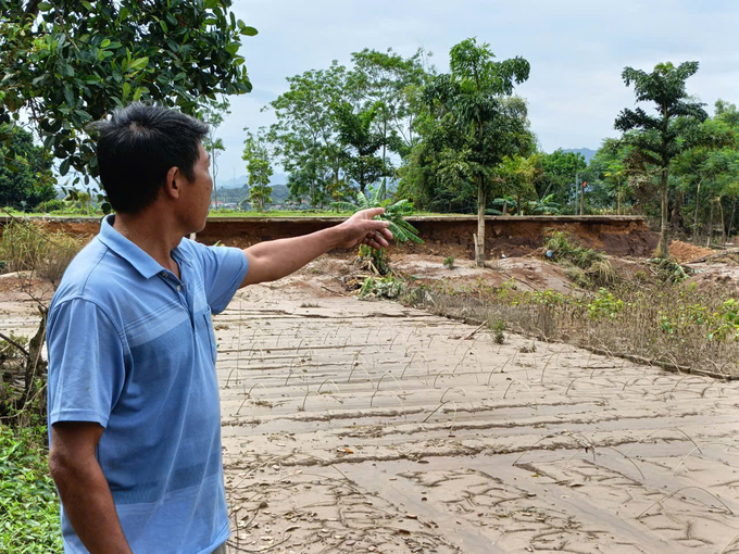 Ông Quang trực tiếp chứng kiến cảnh vỡ đê, nước tràn vào cánh đồng. Ảnh: Thanh Tiến.