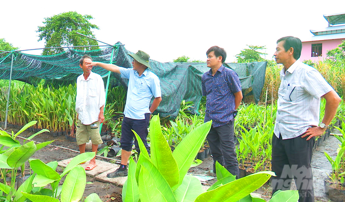 Ông Bùi Thanh Sơn,  Phó Chủ tịch UBND TP Sa Đéc (thứ 2 từ trái sang) cùng các ngành kiểm tra thực tế tại khu vực đê bao ấp Đông Quới (xã Tân Khánh Đông), nơi có hơn 2ha cỏ nhung bị ngập nước. Ảnh: Thanh Nghĩa.