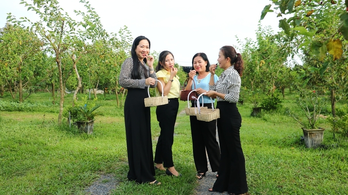 Agricultural tourism is a promising direction in Tay Ninh. Photo: Le Binh.