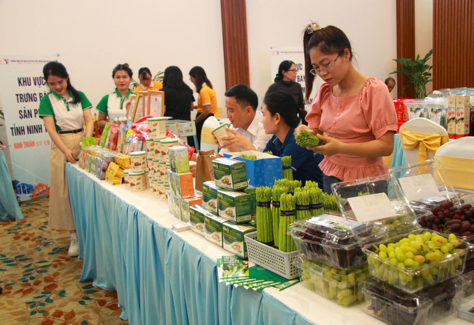 Ninh Thuan Province has many highly specialized products such as grapes, apples, and green asparagus... Photo: TL.