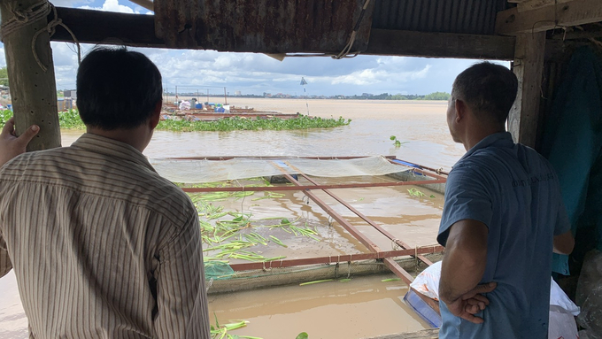 Ông Văn Vui Vui (bên phải) lo lắng bởi cá dễ nhiễm bệnh do ô nhiễm môi trường nước. Ảnh: Hồ Thảo.